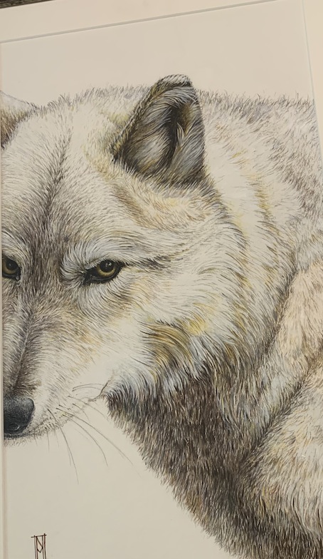 NIkki McIvor |River ( Cree Wolf)| McAtamney Gallery and Design Store | Geraldine NZ